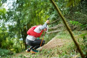 BIB: 
                            <button type="button" onclick="openModal(19431343)" class="btn btn-primary btn-sm float-right btn-popup" data-toggle="modal" data-target=".modal-high-quality">
                        <i class="fas fa-shopping-cart"></i> Add to Cart
                    </button>
                                            <button type="button" onclick="isThisMe(19431343, true)" class="btn btn-success btn-sm float-right btn-popup btn-isme hidden" data-toggle="tooltip" data-placement="bottom" title="นี่คือรูปของคุณใช่ไหม คลิกที่นี่เพื่อเอาเข้าอัลบั้ม">
                        <i class="fas fa-plus"></i> Add to album
                    </button>
                    <button type="button" onclick="isThisMe(19431343, false)" class="btn btn-warning btn-sm float-right btn-popup btn-isnotme hidden">
                        <i class="fas fa-ban"></i> Remove from album
                    </button>